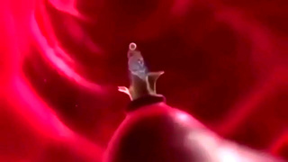 Anime Lovers Fiery Dance Ignites Wild Desires in Sensual Embrace