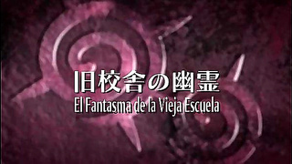 Steamy Hentai Nights: Passionate Couples Desires Ignite in Ecchi Romance