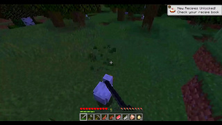 Busty Minecraft Streamers Ride Mechs in Steamy Hentai Quest